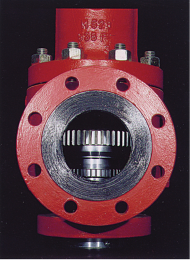 safety valve with flange end
